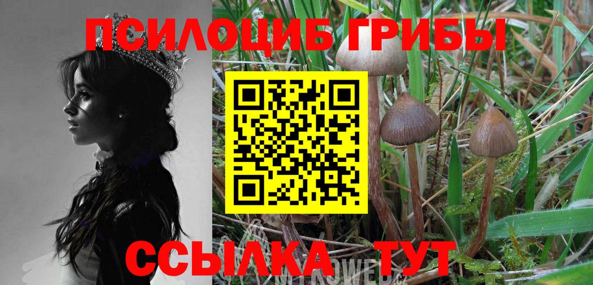 Галлюциногенные грибы Cubensis Спасск-Дальний