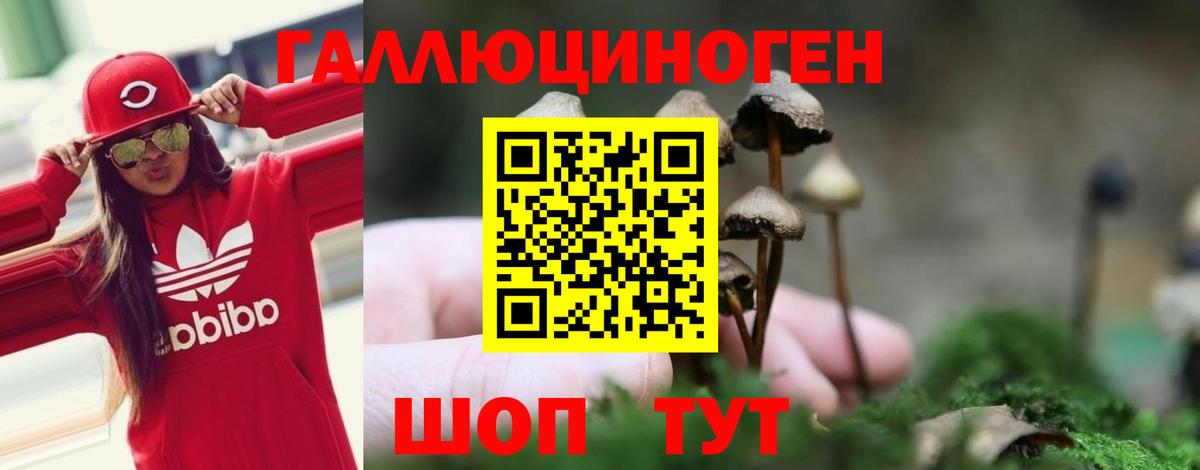 Спасск-Дальний  Псилоцибиновые грибы GOLDEN TEACHER  Вход с VPN  Галлюциногенные грибы прущие грибы 